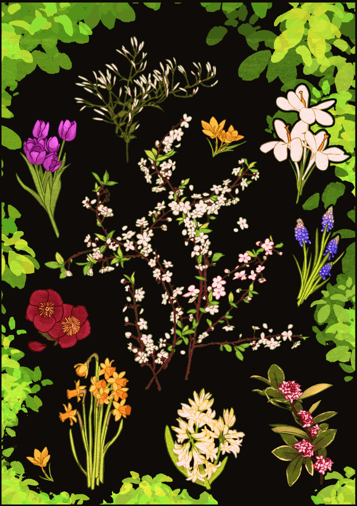 March Flower Transparent Sticker Sheet - 4th of Feburary, 2025